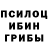Псилоцибиновые грибы Magic Shrooms tina marafioti
