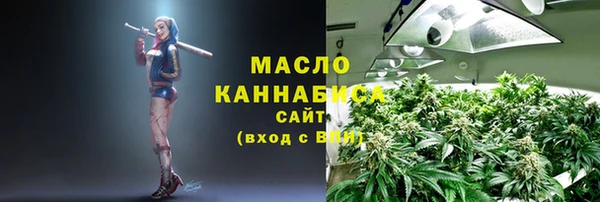 мдпв Богородск
