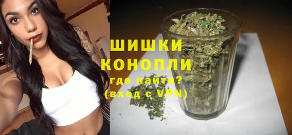 мдпв Богородск