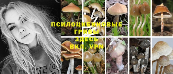 мдпв Богородск