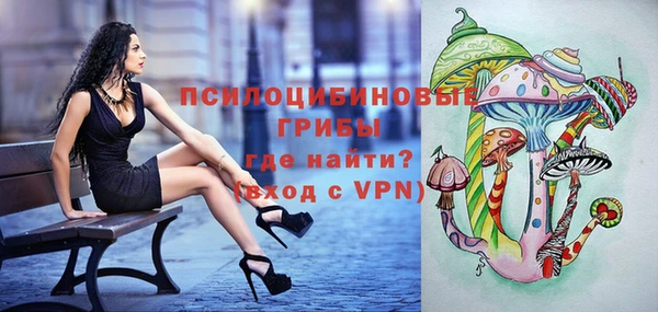 каннабис Богородицк