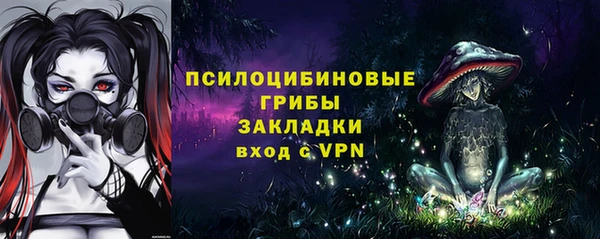 мдпв Богородск