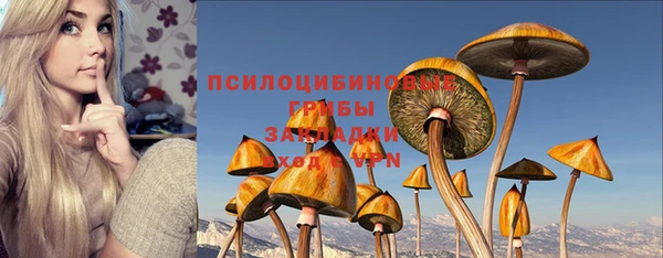 каннабис Богородицк